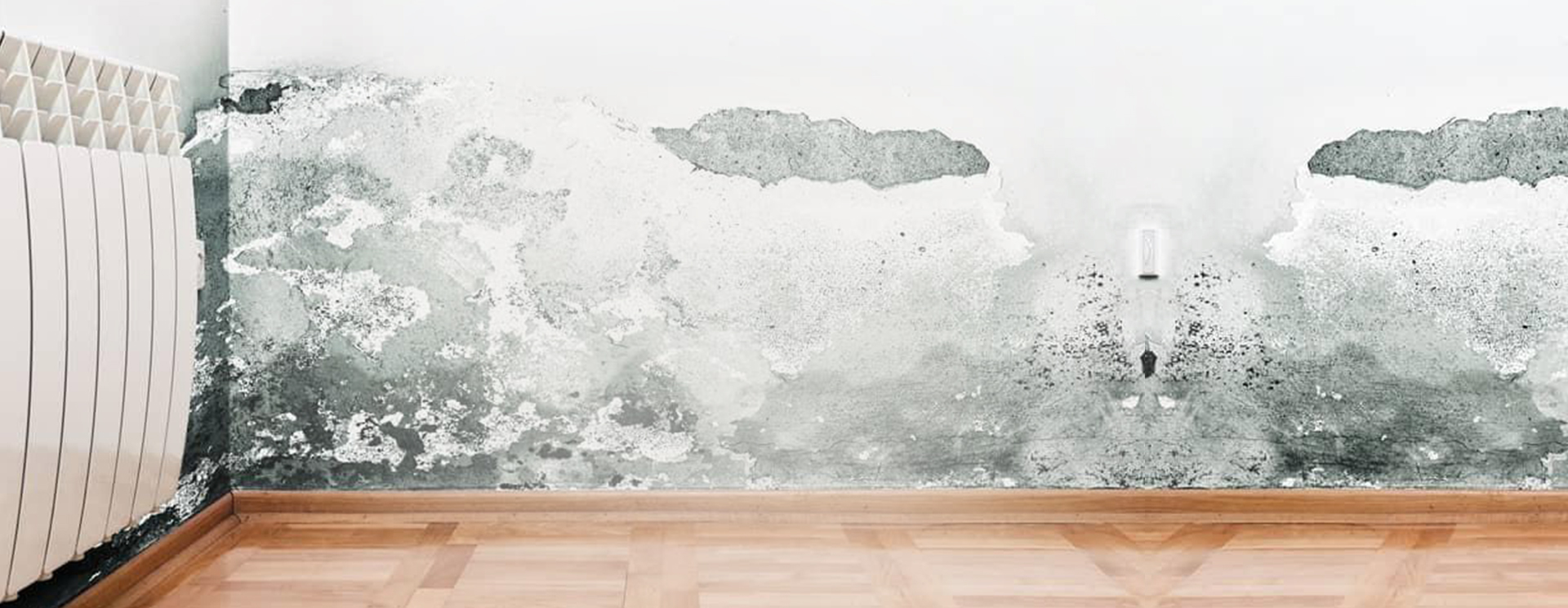 dehumidifiers-banner