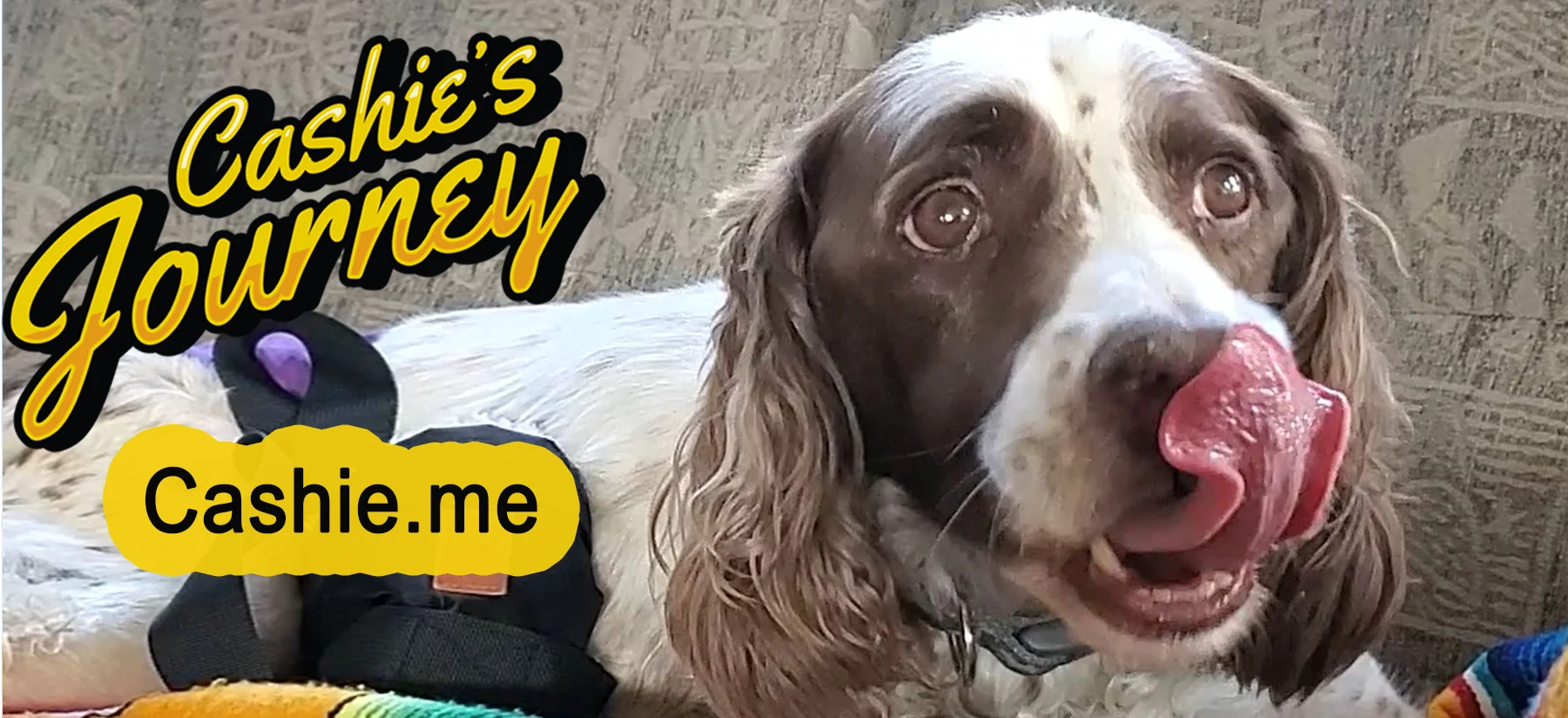 Cashie's Story Cashie's Story