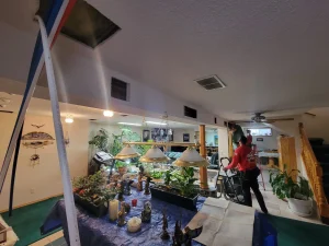 IMG20241023_125233_7278030979763217639